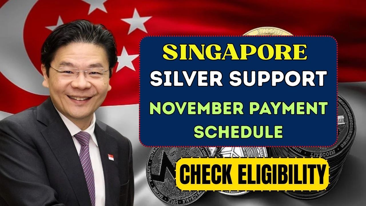 Singapore’s Silver Support